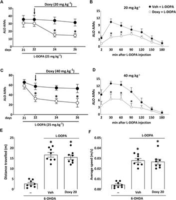 Doxycycline attenuates l-DOPA-induced dyskinesia through an anti-inflammatory effect in a hemiparkinsonian mouse model